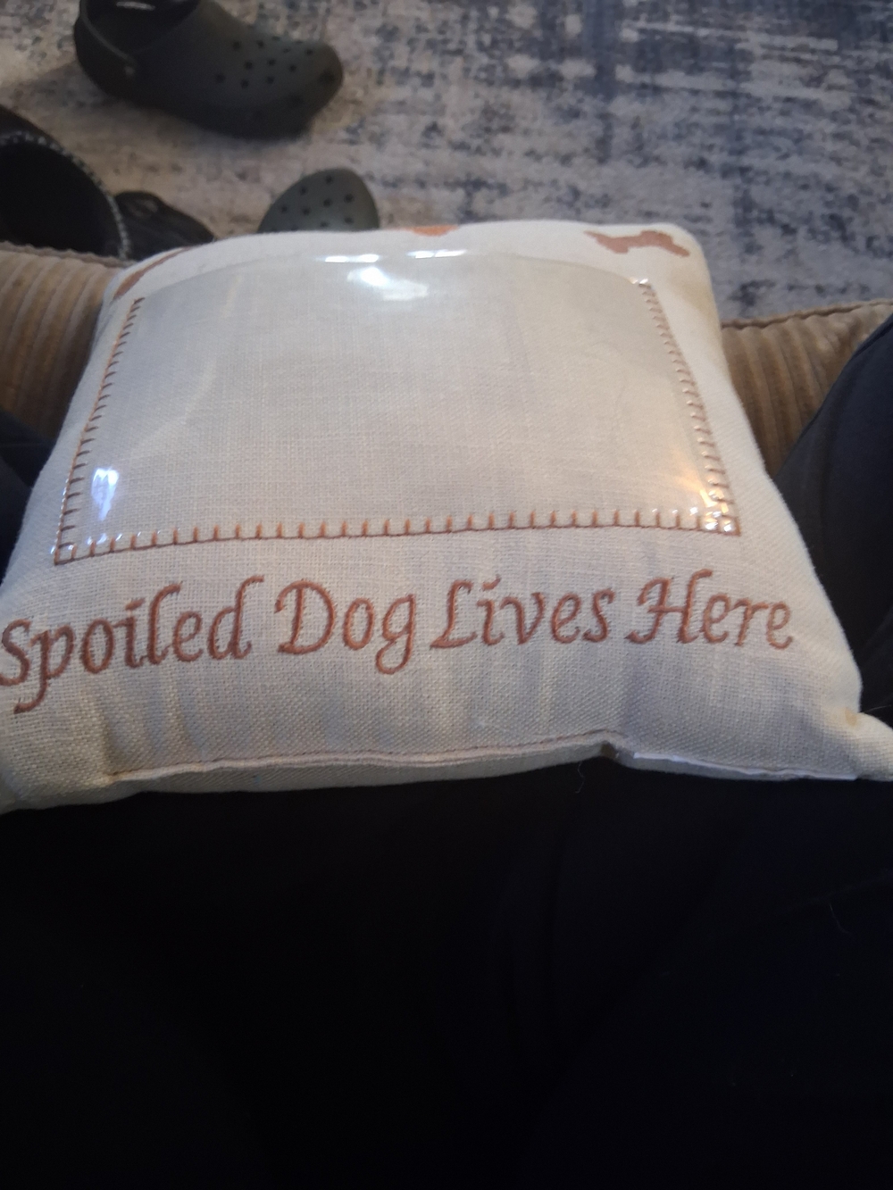 Cream Dog Pillow with Brown Bone Accent - Pet Bedding Cushion - Picture 2 of 5